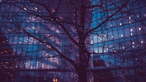 Christmas tree lights in city of London