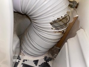 Rats chewing through back of toilet flexi pipe as they enter through the drainage system