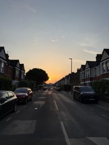 Pest Control Earlsfield, SW18