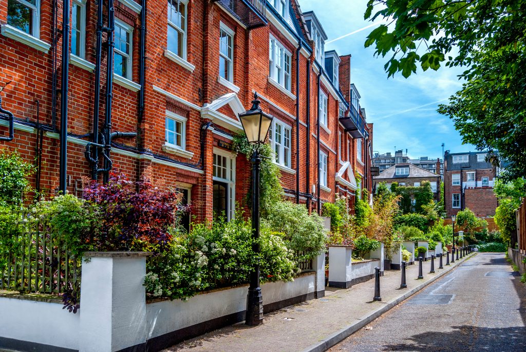 Residential street with red-brick houses and bushes of colorful flowers in Hampstead area, north London, England. Pest Control.