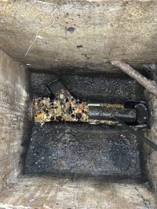 Drain blocked by rat activity and rubble buildup, South London