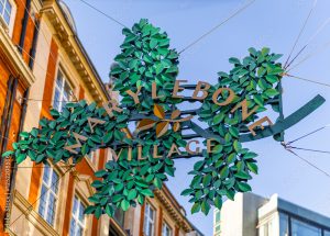 Marylebone Villiage Pest Control