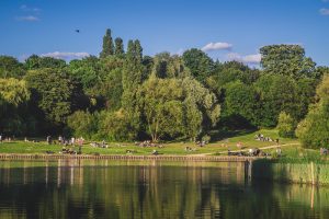 Pest Control Services Hampstead Heath Park - London