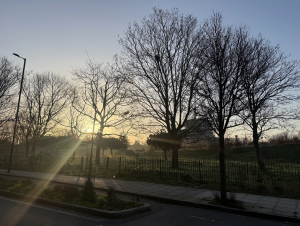 Pest control service Peckham​