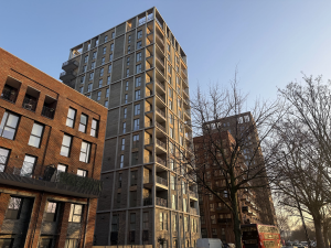 Pest Control Peckham​