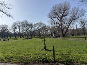Pest control Clapham Common, London