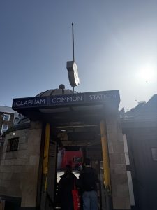 Pest control Clapham Common, London