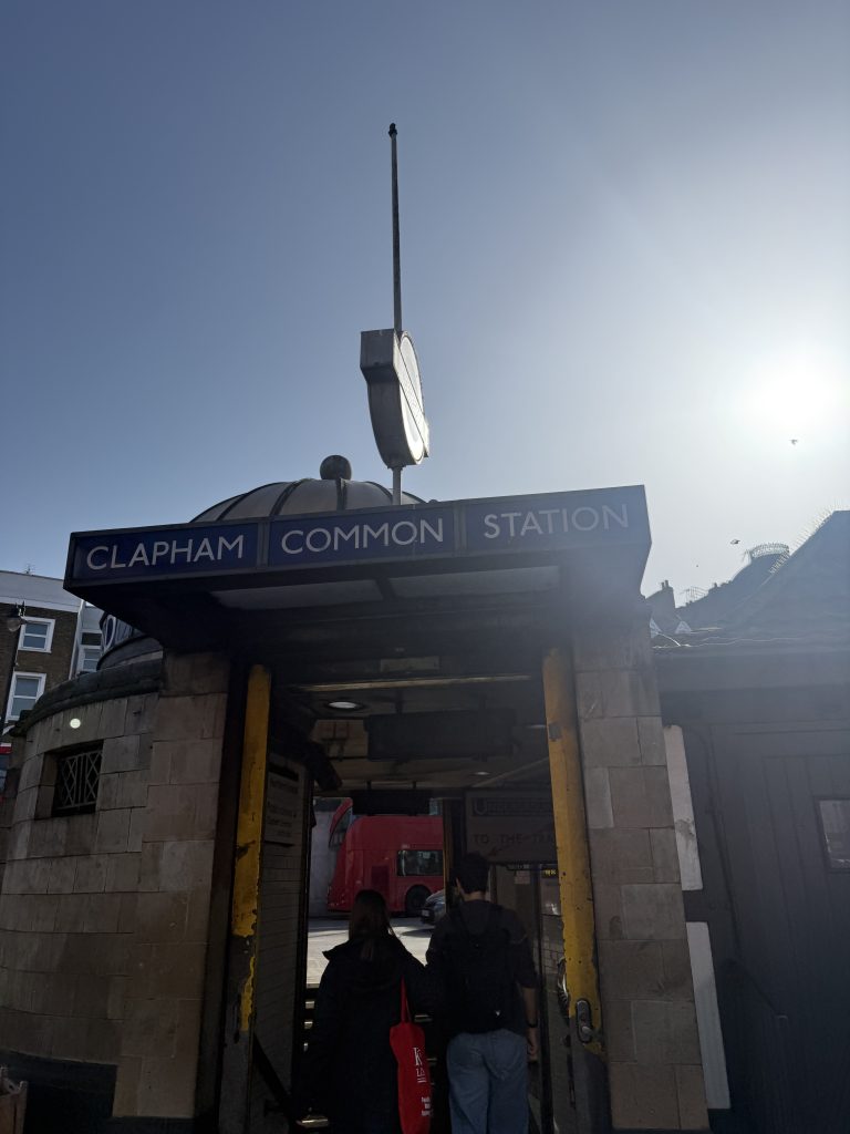 Pest control Clapham Common, London