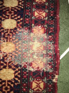 Severe clothes moth larvae damage on a wool rug in a Clapham home.