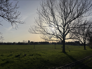 Pest control Streatham​