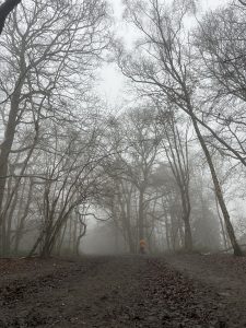 Cold winter walks, Banstead Surrey