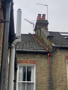 Grey squirrel entry point damaged through the roof fascia into a loft, Clapham London