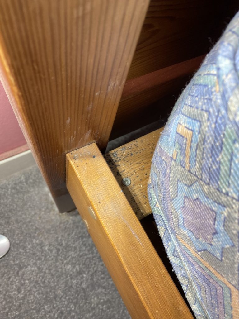 Fecal spotting and bed bug stains uncovered on a wooden bed frame during removal.