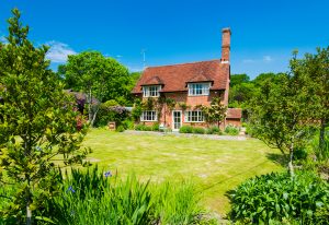 Pest Control, Countryside Home 