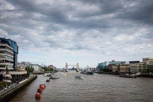 Tower Bridge and the River Thames Pest Control