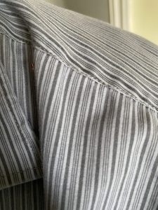 Adult bed bug discovered on a client’s shirt during an active infestation inspection in Balham.
