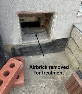Airbricks removed for treatment of moth infestation, Croydon London