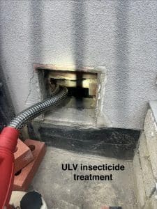 Insecticide treatment for moths under building, Croydon London