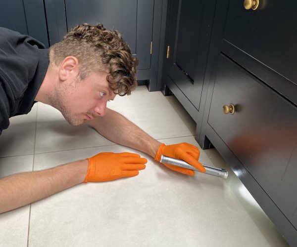 Mercury pest control technician carrying out an inspection underneath kitchen unit